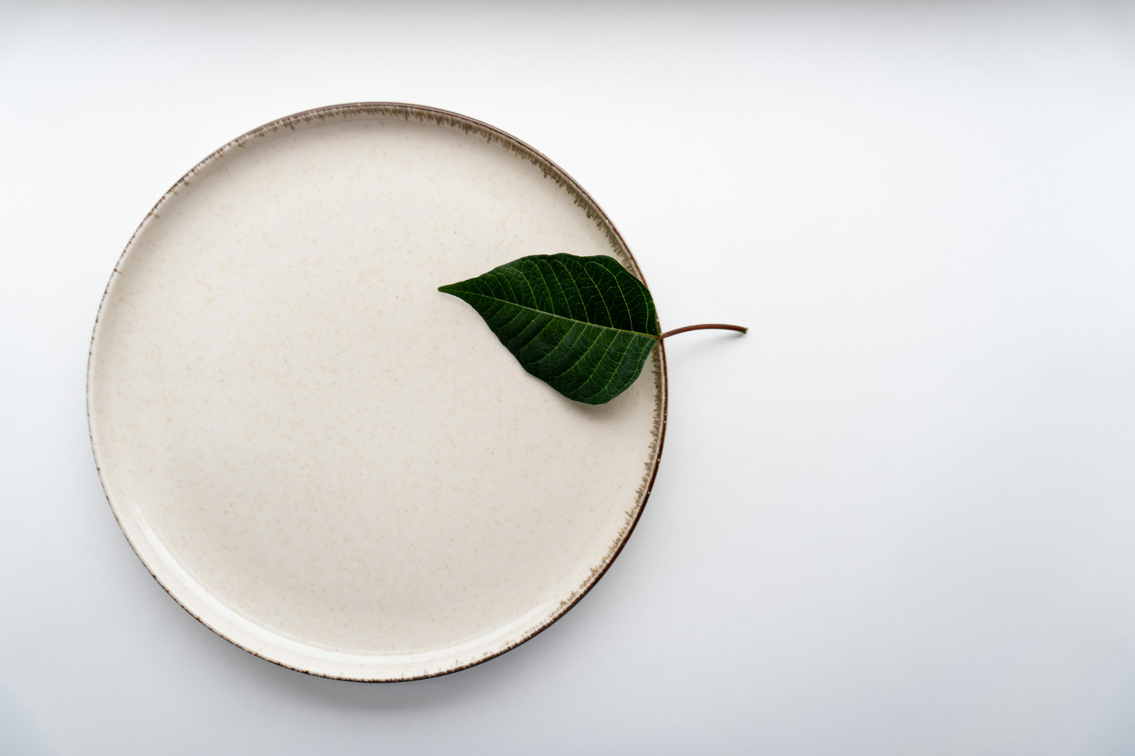 landing image of a plate with a leaf on top